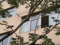 -大连外国语大学(旅顺校区)