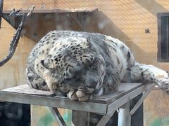 -青藏高原野生动物园