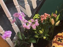 -甜阿姨·天台花园私房菜(万松园店)