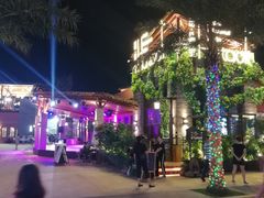 -三亚海昌梦幻海洋不夜城