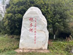 -桤木河湿地公园