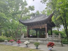 -汇龙潭