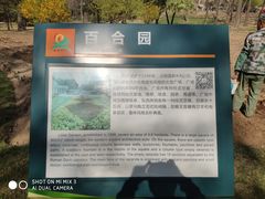 -沈阳植物园