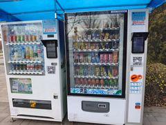 -永定河休闲森林公园