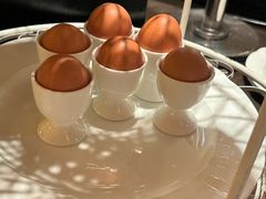 -Colony(新加坡丽思卡尔顿美年酒店)