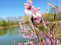 -东郊湿地公园