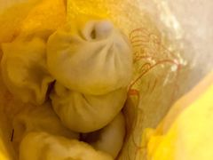 -朱氏胖子烂火锅(洪崖洞店)