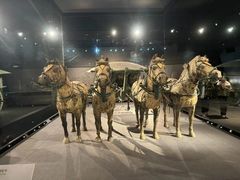 -秦始皇帝陵博物院-丽山园