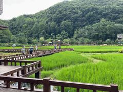 -高荡千年布依古寨旅游景区