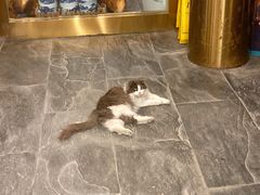 -九花山烤鸭店