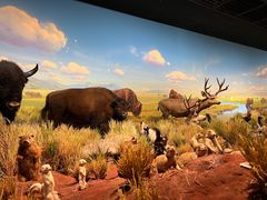 -陕西自然博物馆