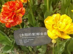 -国家植物园
