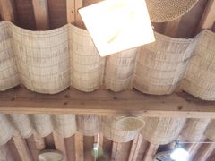 -蘑统田下·野生菌火锅