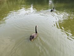 -石家庄市动物园