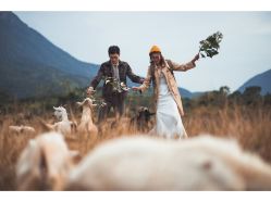 点击看大图 -雨墨婚纱摄影工作室