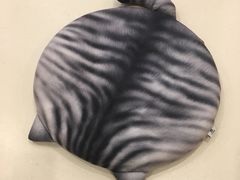 -飞行喵MR PILOT|猫舍·猫咖(静安大融城店)