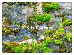 -四川郎木寺镇