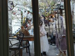 -喵屿·大理花园猫咖