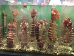 -Isla Sugbu Seafood City