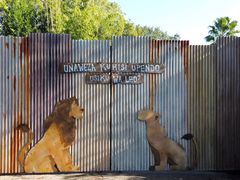 -奥兰多迪士尼动物王国乐园