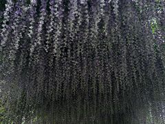 -同里国家湿地公园