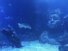 -暹罗海洋世界