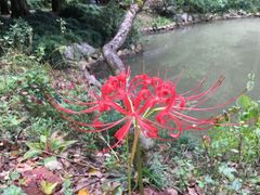 -灵栖洞天