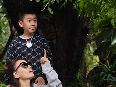-西双版纳傣族园