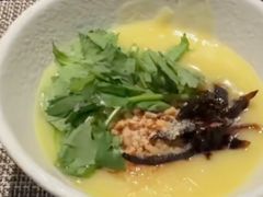 -绿堤公园