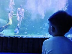 -左海海底世界