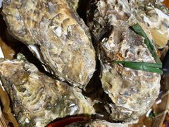 竹篮生蚝-全渔村小海鲜