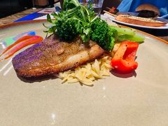 -bluefrog蓝蛙(石家庄欢乐汇店)