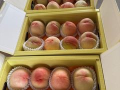 -南汇水蜜桃采摘(大团店)