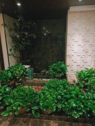 -至爱至信新中式SPA疗愈会所