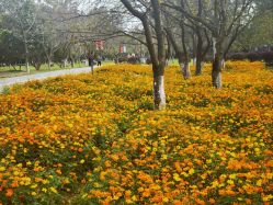 -玄武湖景区-情侣园游乐场