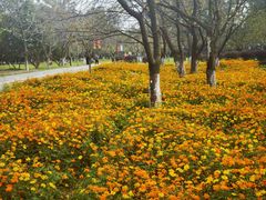 -玄武湖景区-情侣园游乐场