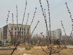 -中关村生命科学园