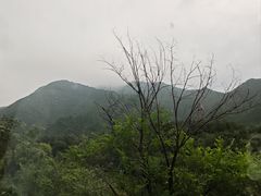 -姚记炒肝店(鼓楼店)