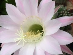 -老妈米线(港龙店)