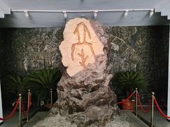 -亳州博物馆