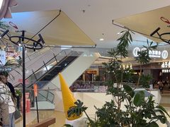 -野人先生Gelato(上海长宁龙之梦店)