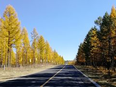 -塞罕坝国家级自然保护区