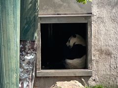 -沈阳森林动物园