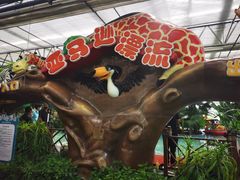 -南宫五洲植物乐园