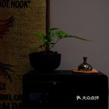 有温度的咖啡店 咖啡人