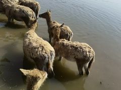 -宁波杭州湾国家湿地公园