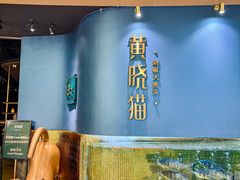 -黄晓猫剁椒大鱼头(海岸城店)