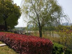 -太湖湖滨国家湿地公园-停车场