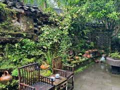 -青城甲(青城山店)