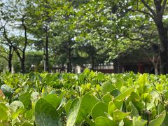 -北京石刻艺术博物馆(五塔寺)